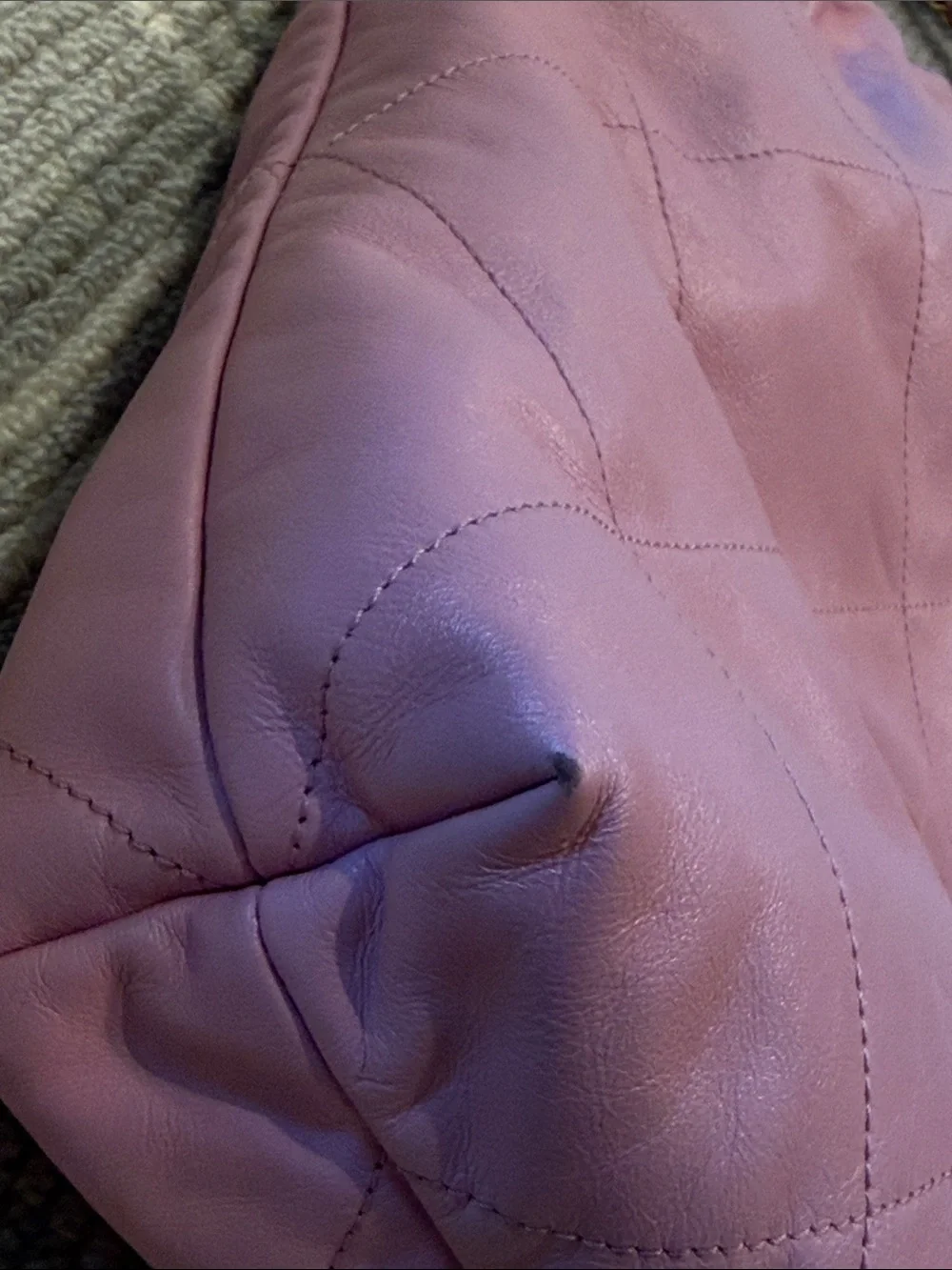 Chanel 22 Hobo Bag 22S Pink Medium